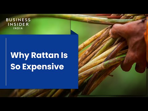 Why Rattan Is So Expensive | So Expensive