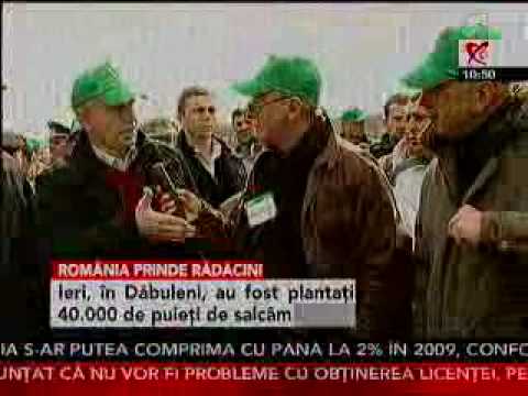 Romania prinde radacini, Realitatea TV,  22 martie 2009, Dabuleni, jud. Dolj