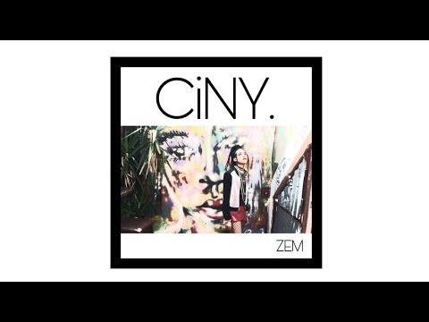 ZEM VN - Cheetah In New York (Music Video)