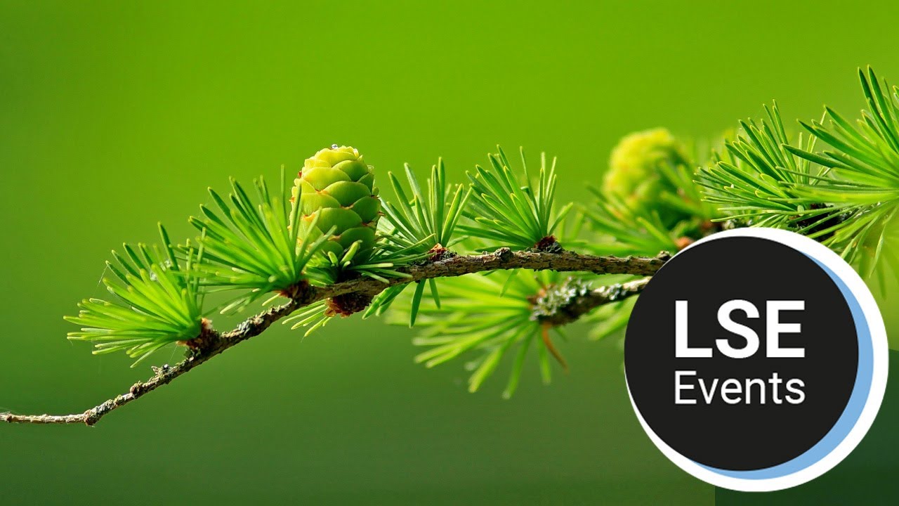 Eco-social contracts for sustainable and just futures