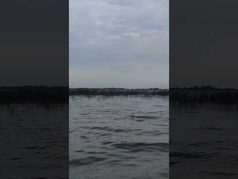 Día Nublado en Laguna El Burro (Chascomús) Buenos Aires Argentina