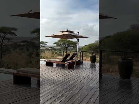 Ihr Abenteuer beginnt mit Stil und Komfort – Luxus Safari in Tansania erleben #Safari #luxus #urlaub