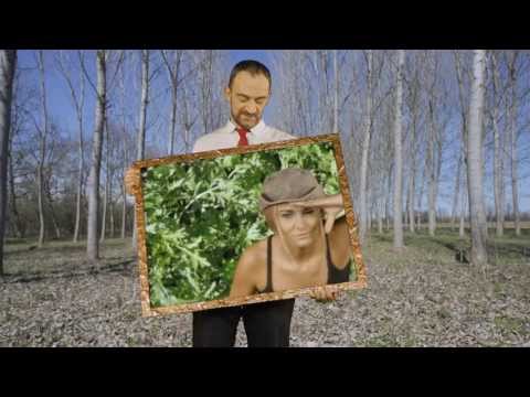 Perturbazione - La Vita Davanti (Official Video)