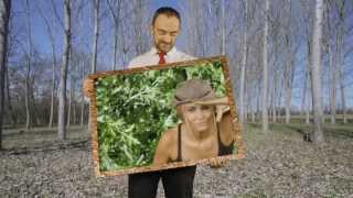 Perturbazione - La Vita Davanti (Official Video)