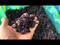 Изюм черно красный, The raisins are black and red, Rodzynki czarno czerwone - fotosurat 1