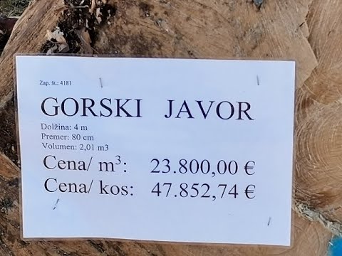 LICITACIJA LESA Slovenj Gradec 2022