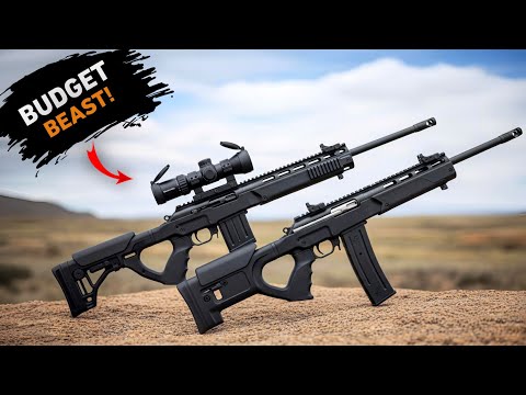 The 10 Budget Tactical Rifles That Outclass The AR-15!