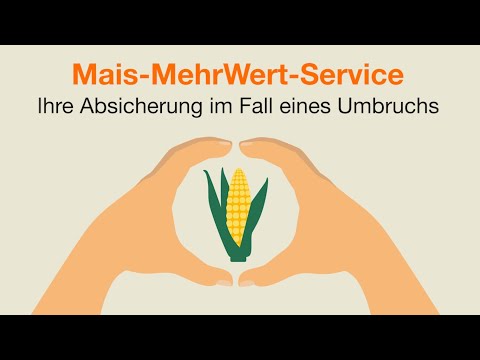 Mais-MehrWert-Service - Ihre Absicherung im Falle eines Umbruchs