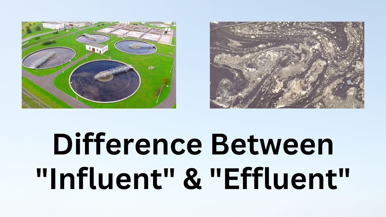 Difference Between Influent and Effluent | Unraveling the Mysterious World of Influent and Effluent!