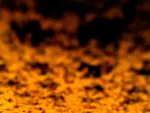 Happy Birthday Joanne!