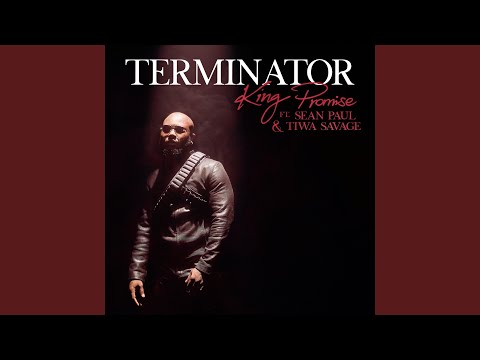 Terminator (Remix)