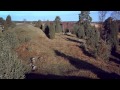 JJ - LET THEM 