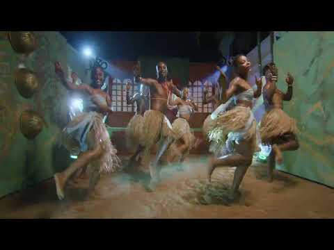 (DANCE VIDEO) Sandrine Nnanga ft Locko - Pas de toi sans moi