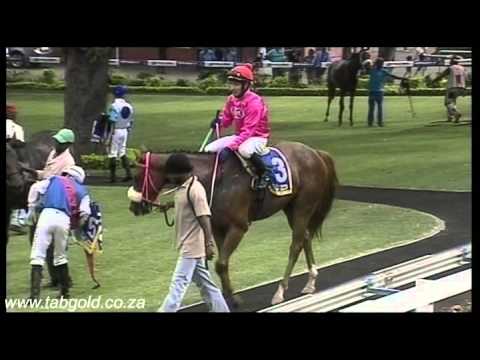 20150301 Greyville Race 5 won by IRE DE FIESTA