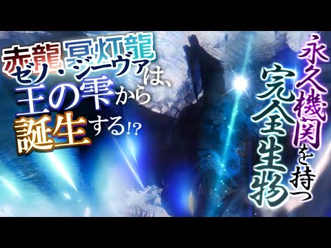 フィコドゥラス・エクエス