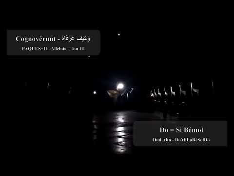 Cognovérunt - وَكَيْفَ عَرَفَاهُ  - (PAQUES+II - Alleluia I - Ton III - Si bémol)