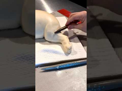 A Realistic Cake of Your Pet?