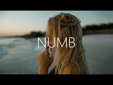 Nikademis & Leuthero - Numb (Lyrics) ft. Skye Silansky