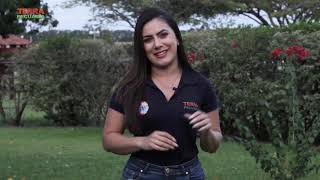 Miniatura do vídeo