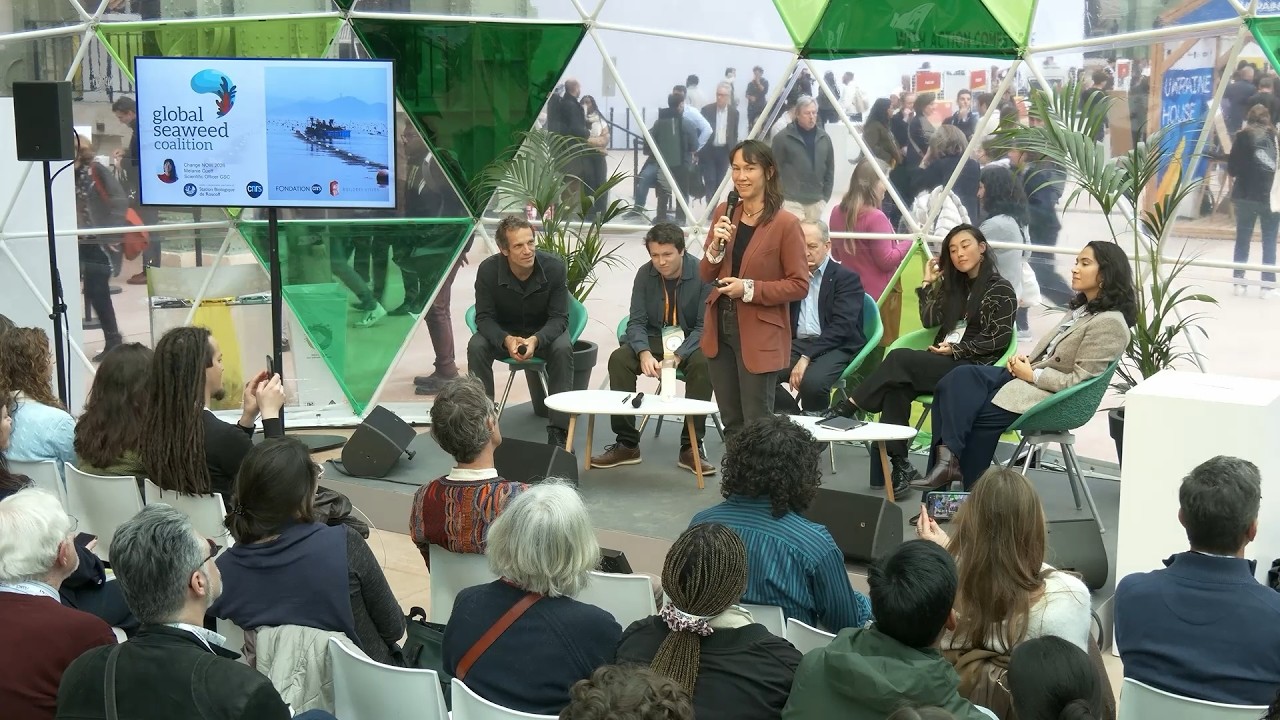 Seaweed at Scale : A Global Perspective into Implementation