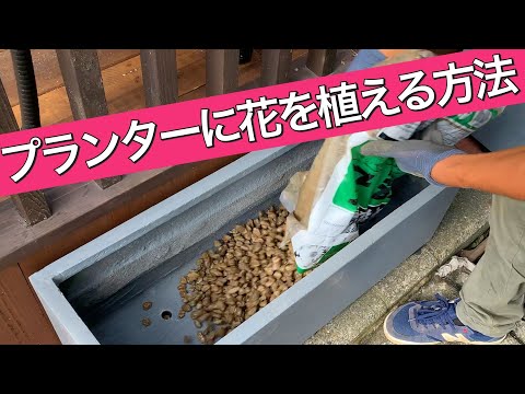 プランターを窓の端に取り付ける方法 2023