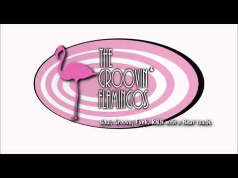 The groovin' Flamingos - We can make a deal