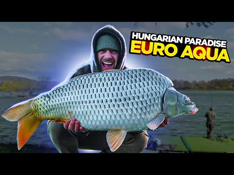 A Trip To Euro Aqua - Home Of The Biggest Carp In The World