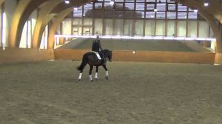 Video of Grand Passion