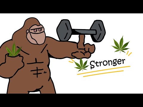 How Weed Affects Your Gains