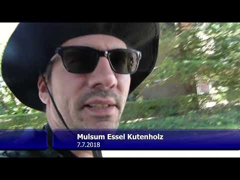7.7.2018 Mulsum - Essel - Kutenholz