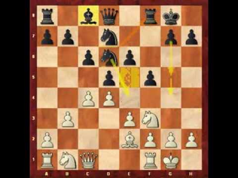Der richtige Zug mit Vorsagen. Stonewall System. Holländische Verteidigung. Eugen Grinis. Schach