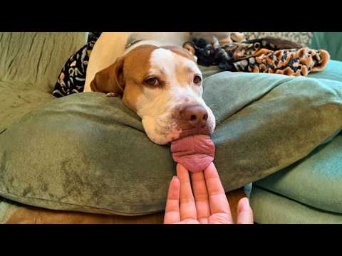 No One Wanted to Adopt Her Because of Her Tongue