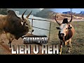 LIEH U HEH PYNSHANG KAI IA U LIEH CHAMPION
