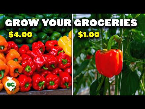 Garden With Me Starting Seeds Pruning Composting