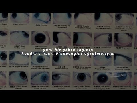 mitski // brand new city「türkçe çeviri」