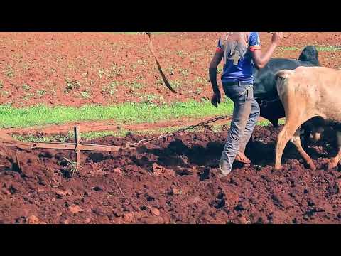 Amani Itokayo Juu - Nyamongo Net Event