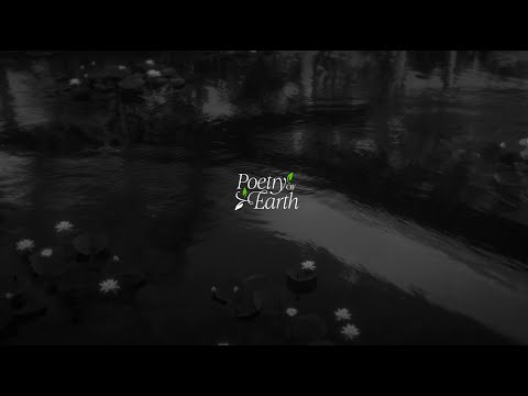 3D Tour Of Urban Poetry Of Earth