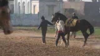 preview picture of video 'Gujrat Race Club - It's all about horses - Teri Ore'