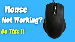 How To Fix Mouse Not Working in Windows 11/Windows 10