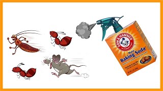 7 Effective Pest Control Hacks with Baking Soda and Vinegar