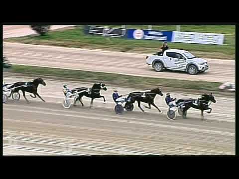 Trotto 02/02/2020 - 1ª corsa