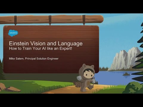 Einstein Vision: Train Your AI Like An Expert!