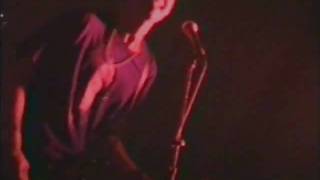 Pansy Division - Dick Of Death