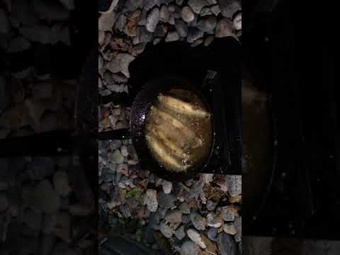 How to - Cooking fresh BC smelts - Pan fried