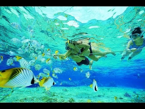 Snorkeling in Paradise Island, Bahamas