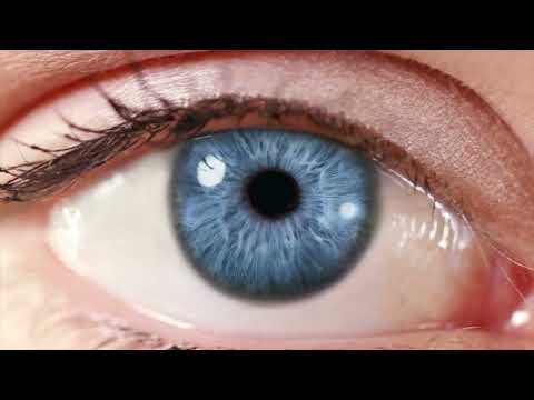 Introducing Neurolens