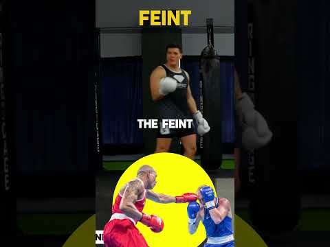 Using front kicks to build a feint  #combatsport #fightingtechniques #mma #learntofight #fightskills