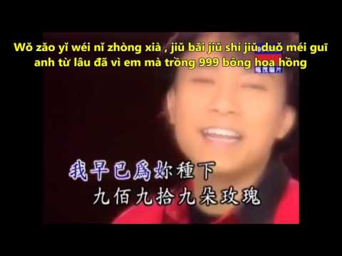 hoc tiêng trung hoa giao tiêp, bài hát: jiǔbǎi jiǔshíjiǔ duō méiguī - 999 đóa hồng