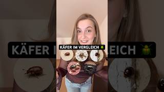 Vorrats- und Materialschädlinge identifizieren: Speckkäfer, Brotkäfer & Co. im Vergleich! 🪳