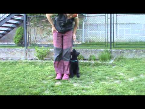 Jessy z Jukasu - first steps :-)